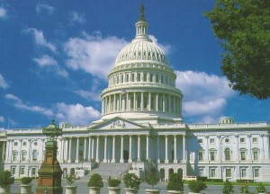 Generic representation of the very complex entity known as the government of the United States, go!
