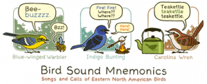 I am Bad At Birds. When given a sneak peek at the birds on this print, I identified exactly None Of Them.
